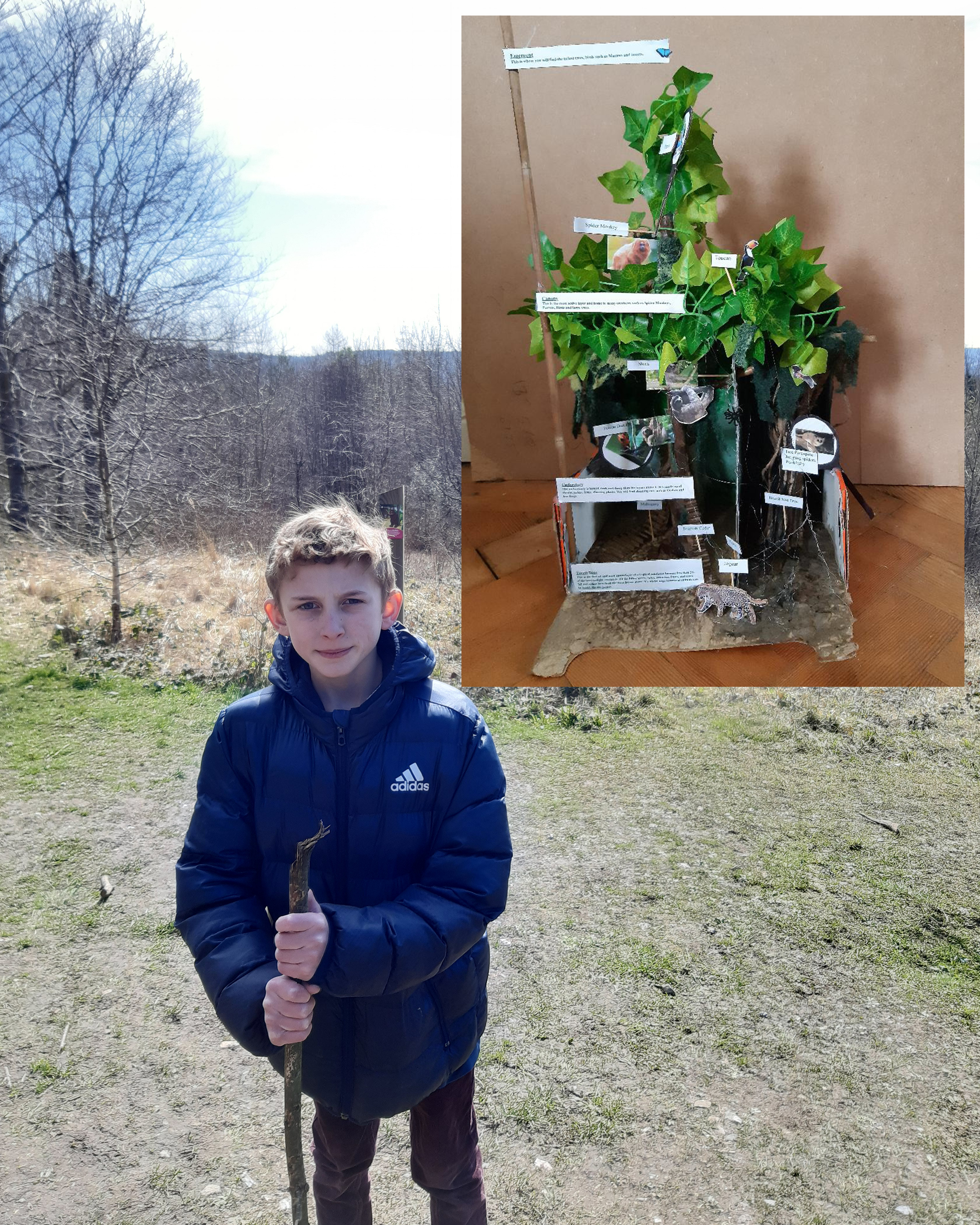 Harrison Gallagher Rainforest in a Box Plant Your Future