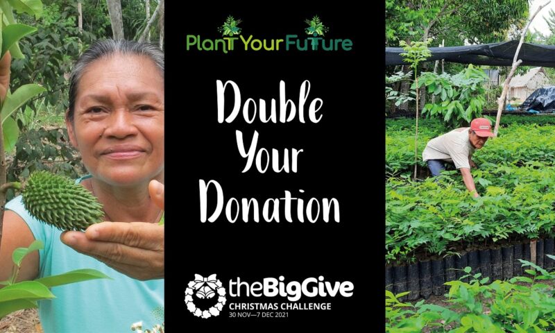 Donate: Big Give Christmas Challenge 2021