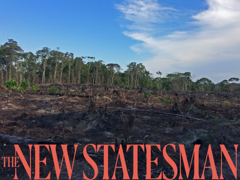 Why reforesting the Amazon is no easy task: Plant Your Future featured in The New Statesman